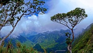 Isarog Hiking