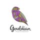 Gouldian Colours Production