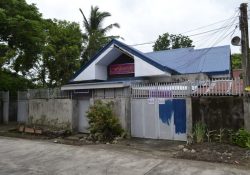 Mac Mariano Village House and Lot