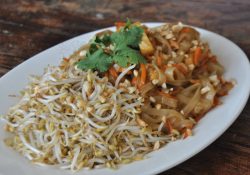 Pad Thai - Green Earth Cafe’