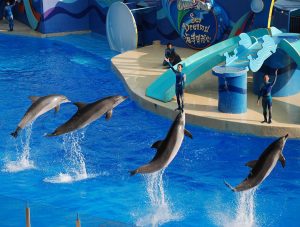 Hong Kong Ocean Park Theater