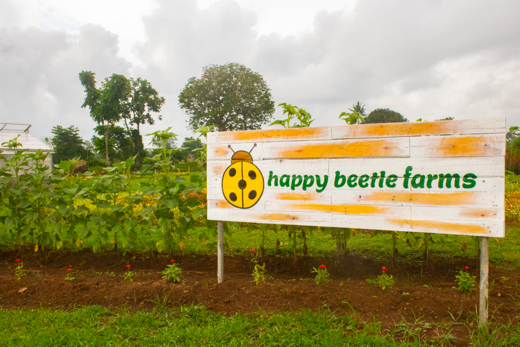 Cafe RoSa & Happy Beetle Farms: The Newest Agritourism Farm in Bicol