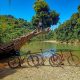 365 Things To Do In or Near Naga #4: Ride a Bike to Panivesta River