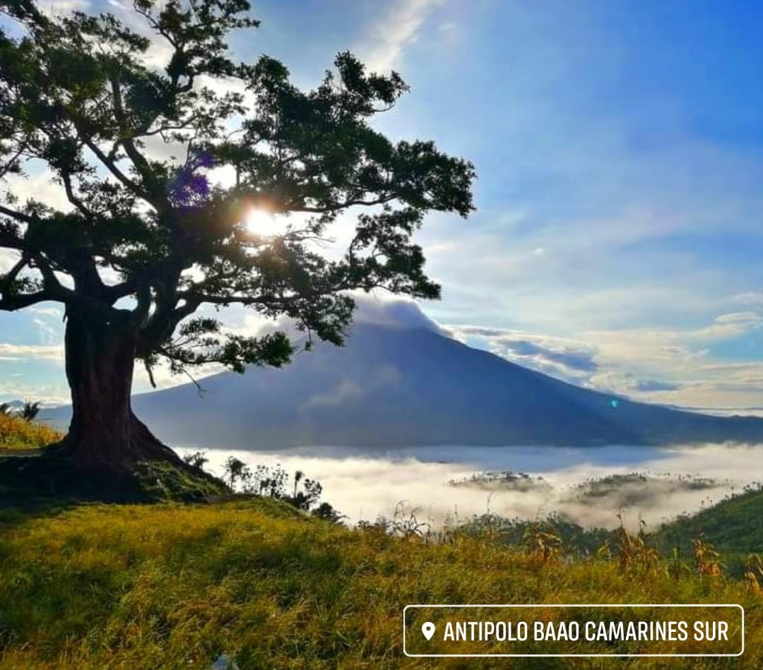 365 Things To Do In or Near Naga #9: Take a Li'l Hike to See the Century Tree
