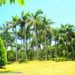 Naga City Ecology Park