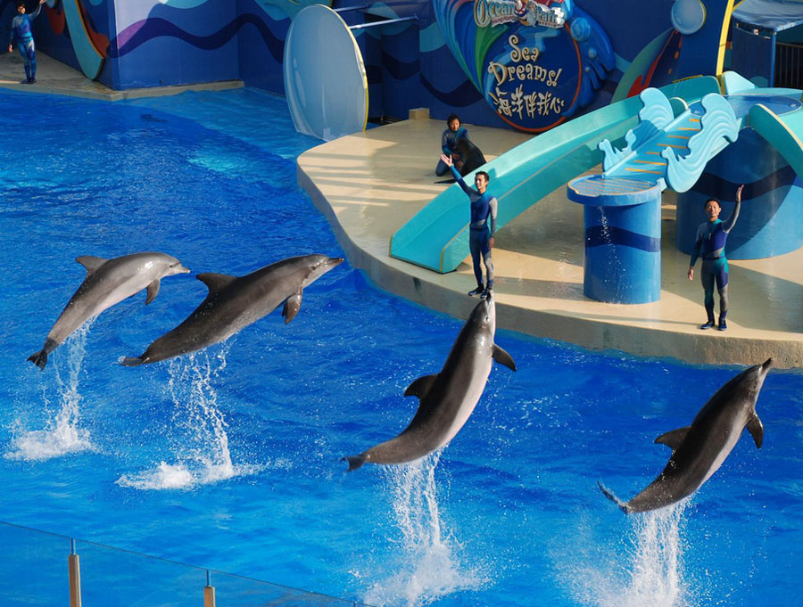 Buy 2 Get 1 FREE 3D/2N Hongkong Tour Package