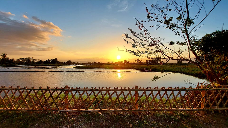 Cafe RoSa & Happy Beetle Farms: The Newest Agritourism Farm in Bicol